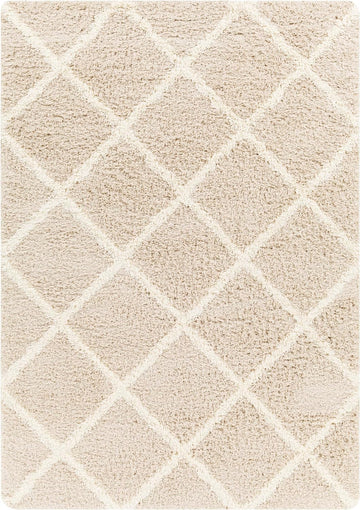 Blencoe 5x7 Shag Beige Area Rug Carpet for Living Room Bedroom or Kitchen (5'3" x 7'3")